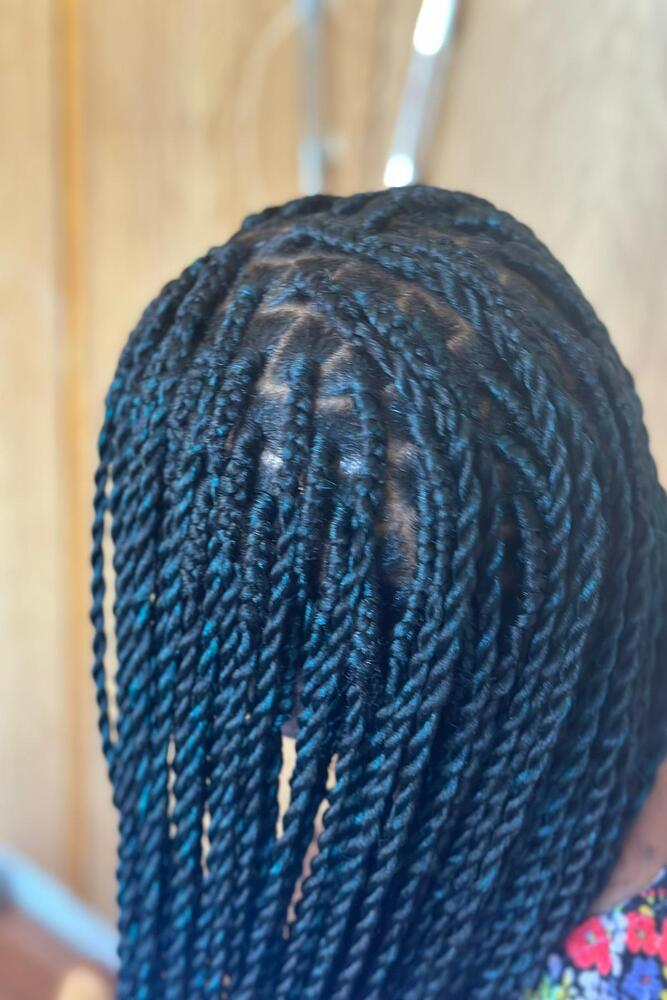 Twist braids 2