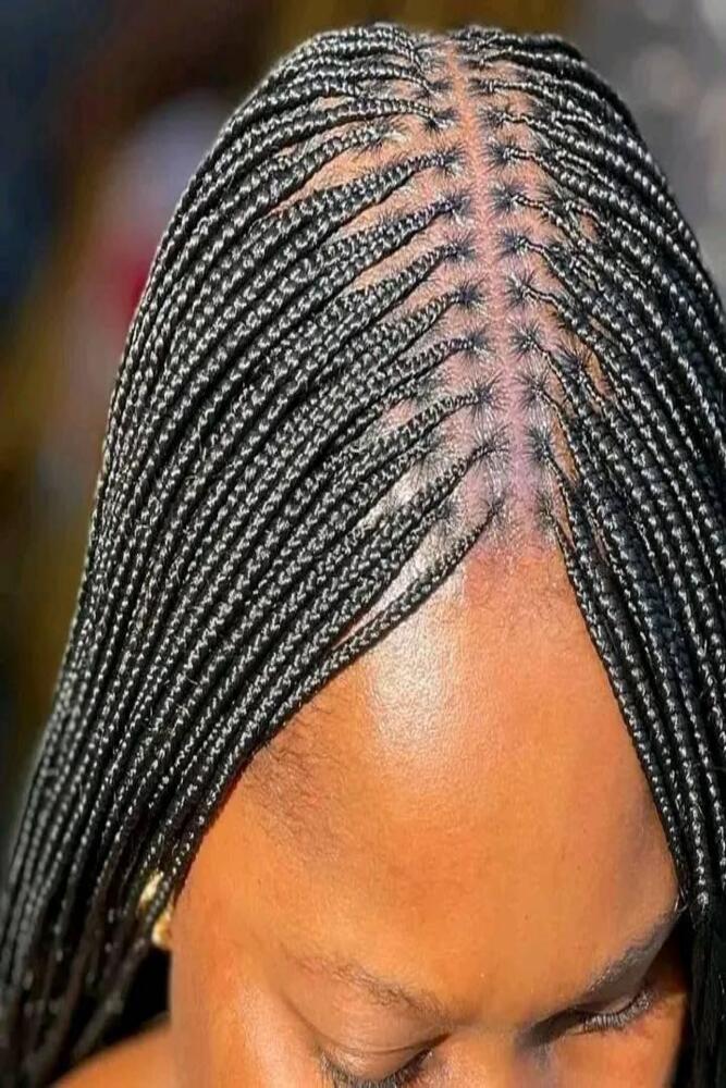 Micro braids 2